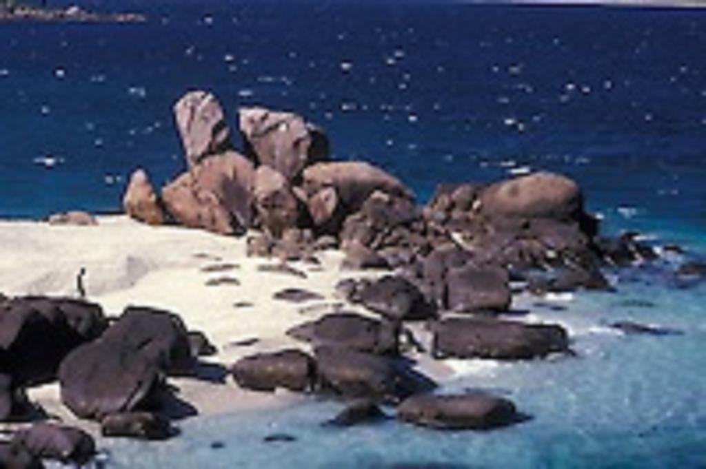 Zimbay Hotel Arugam Bay Buitenkant foto