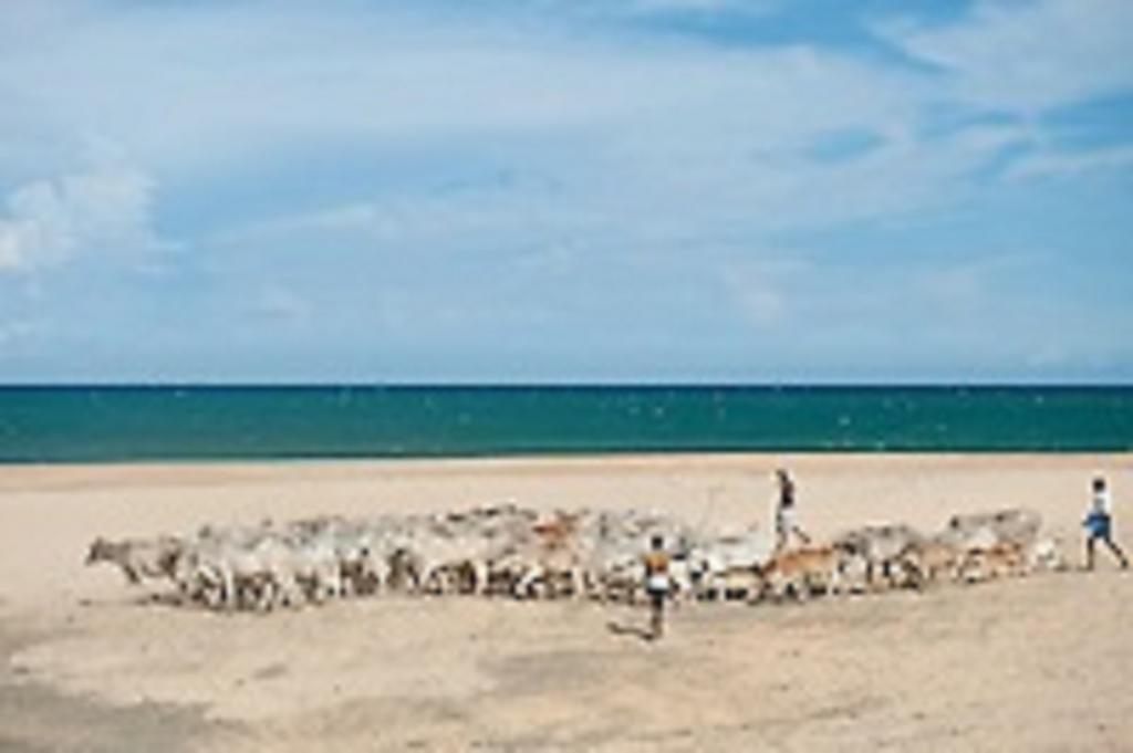 Zimbay Hotel Arugam Bay Buitenkant foto